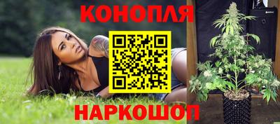 стаф Лесосибирск